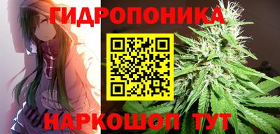 дживик Гусь-Хрустальный