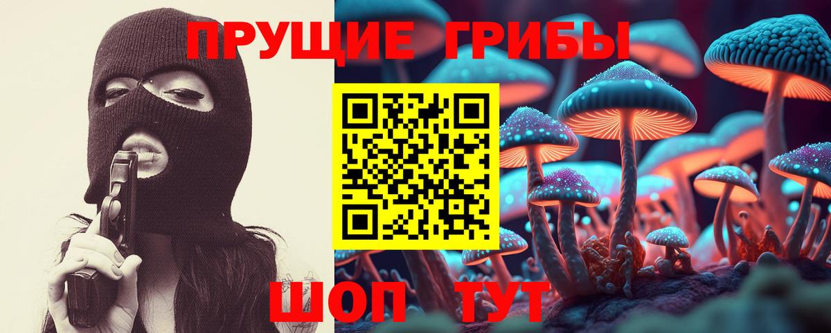Обнинск  Псилоцибиновые грибы GOLDEN TEACHER  Вход с VPN 
